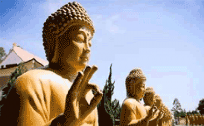 【解惑】佛教徒有固定的功课表吗？