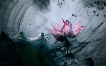 佛法把一切视为海市蜃楼，虚无缥缈？
