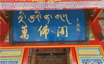 共襄朵什“万佛”盛举，生生世世得佛加持